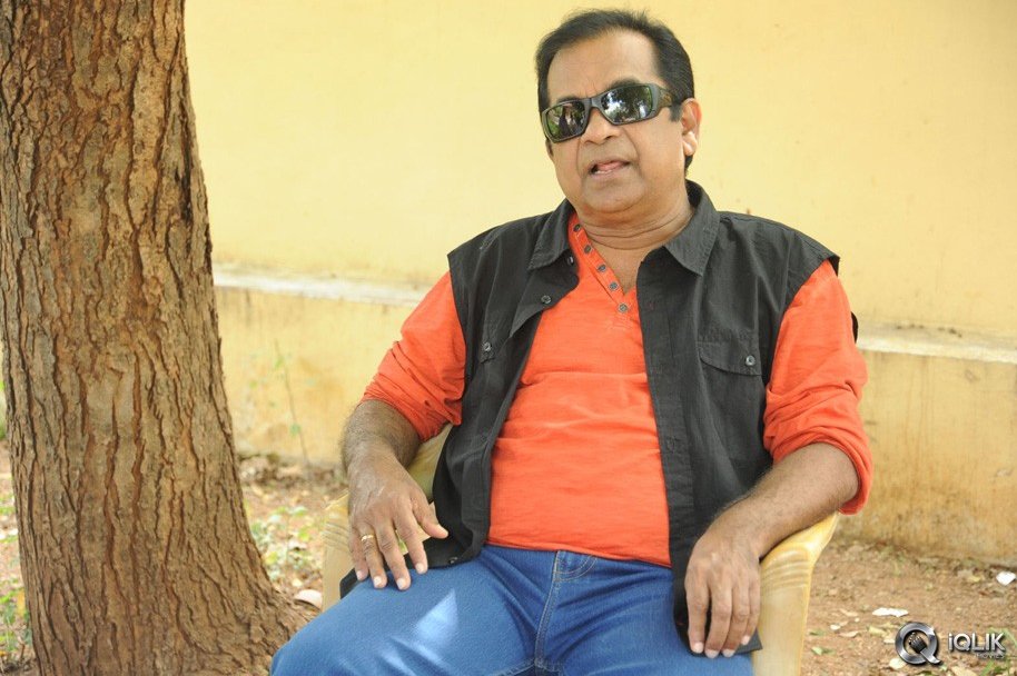 Brahmanandam-About-Alludu-Seenu-Movie